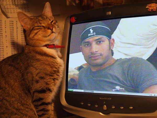 parveen